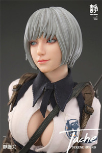 絶版 入手困難 限定 i8TOYS 1/6 TACHE Serene Hound Troop シレーヌ・ハウンド ターシュ 女性フィギュア ホットトイズではありません