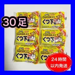 【新品】アイリスオーヤマ　ぽかぽか家族 貼る　 くつ下用 靴下　カイロ