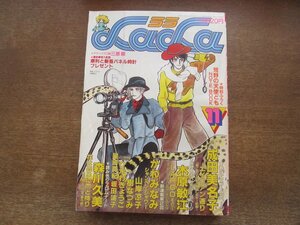 2401ND●LaLa ララ 1983.10●綿の国星 大島弓子/シャンペン・シャワー かわみなみ/ひかわきょうこ/樹なつみ/坂田靖子/木原敏江/篠有紀子