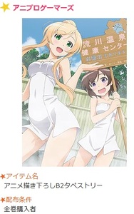 Blu-ray/DVD 普通の女子校生が 【ろこどる】 やってみた。 ゲーマーズ 全巻 購入 特典 描き下ろし B2 タペストリー 宇佐美奈々子 小日向縁