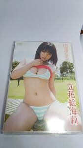 DVD 立花絵海莉　純白プリン　中古品