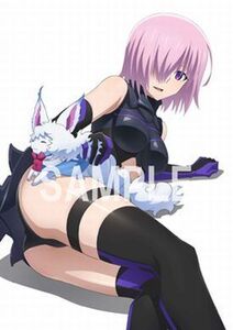 マシュ＆フォウ 描き下ろしA3タペストリー 「Blu-ray/DVD Fate/Grand Order -First Order-」 ゲーマーズ購入特典