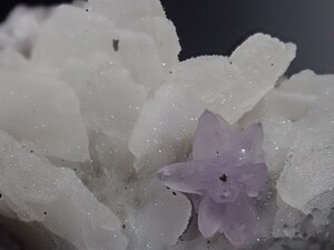 【4共生を成した光沢に佇む花】フラワーアメジスト&バライト&カルサイト&カルセドニー　紫水晶　重晶石　方解石　玉髄　原石　標本