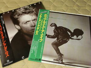 ブライアン・アダムス 2枚 ♪Cuts Like a Knife ♪Reckless／Bryan Adams 