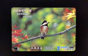 使用済 パスネット SFメトロカード 小さなやすらぎ シリーズ 日本の野鳥③ ヤマガラ 営団地下鉄 東京メトロ 東京地下鉄 乗車券 使用済み