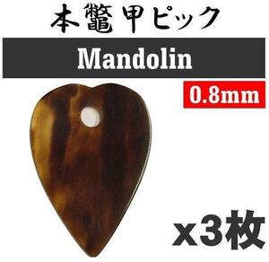 即決◆新品◆送料無料【3枚セット】本鼈甲 ピック マンドリンピック べっ甲ピック 0.8mm /メール便