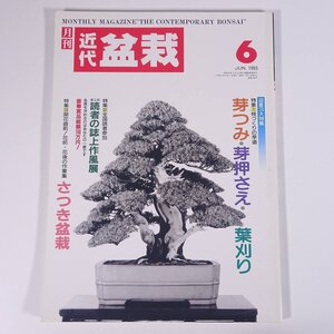 月刊 近代盆栽 No.188 1993/6 近代出版 雑誌 盆栽総合誌 園芸 ガーデニング 植物 特集・芽つみ・芽押さえ・葉刈り さつき盆栽 ほか