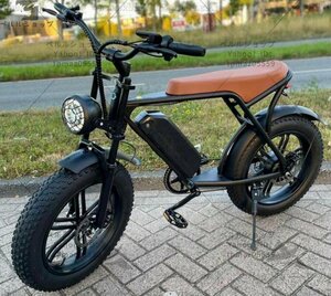 高品質 大人用電動自転車 ワイドホイール付き1000W 48V 15ah容量のリチウム電池，7シマノ速度