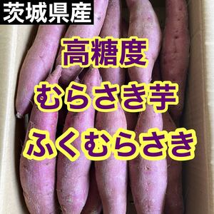 高糖度むらさき芋【ふくむらさき】箱込み1キロ超　送料無料