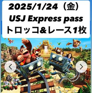 【1/24】ユニバーサルスタジオジャパン　エクスプレスパス ドンキーコング　マリオ　トロッコ&レース