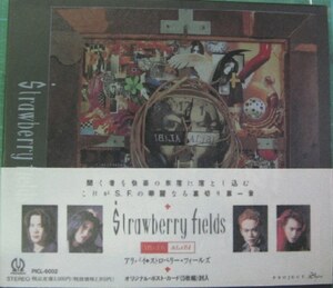 ＊中古CD Strawberry Fieldsストロベリー・フィールズ/ALIBI 1992年作品2nd スリーヴケース+ポストカード5枚組付き D