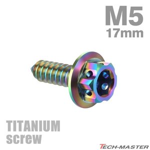 M5×17mm 64チタン合金 ヘキサゴンヘッド タッピングネジ 六角穴付き 焼きチタンカラー ライトカラー 1個 JA604