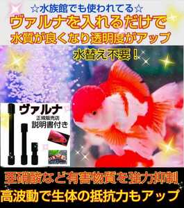 金魚の病気がなくなります！【ヴァルナ23センチ】病原菌や感染症など有害物質を強力抑制！透明度がアップします！水替えも不要になります！