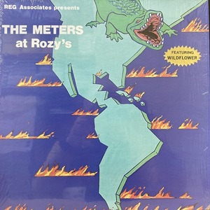 METERS / AT ROZY