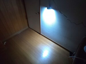 LEDナンバー灯球 37-17タイプ専用 新型プロフィア・レンジャー・デュトロ 17年モデル 高輝度LED 8.000mcd 10発使用 送料無料（定形外郵便）