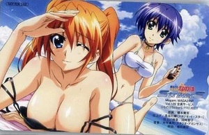 魔法少女リリカルなのはStrikerS Megami MAGAZINE 2011年2月号 Vol.129 応募者全員サービス テレカ 全プレ ティアナ スバル メガミマガジン