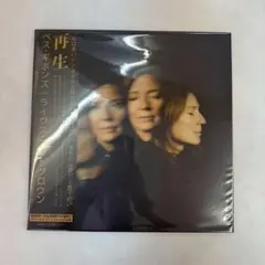 Beth Gibbons big love records vinyl