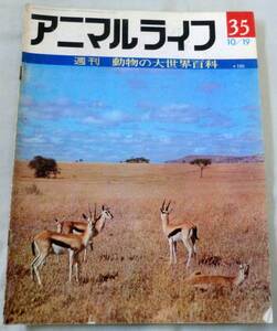 古書◆雑誌◆S46年 週刊アニマルライフ第３５号 ◆ ガゼル★ガゼル★カタクチイワシ★ガータースネイク★カタツムリ★カダヤシ★