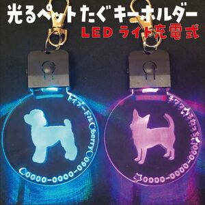 めっちゃカッコイイ！ 光るペットたぐ キーホルダー 迷子札 犬 猫 犬首輪 LEDライト充電式 