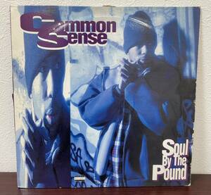 【5137】レコード LP盤 Common Sense Soul By The Pound Can-I-Bust HEIDI アングラ 中古品 現状品