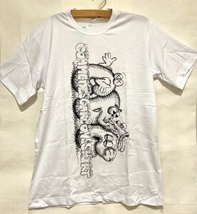 【コラボ 新品】kaws COMME des GARCONS SHIRT サイズXL コムデギャルソンシャツ カウズ Tシャツ コラボ cdg 2021AW FH-T007-W21-1