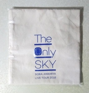 雨宮天 The Only SKY ライブ会場限定販売 エコバッグ