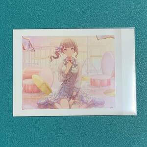 project SEKAI（instant photo style collection）プロセカ　カラフルステージ！feat.初音ミク　ぱしゃこれVol.3　望月穂波