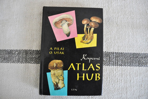 チェコ・きのこ図鑑 ATLAS HUB/1962年 [5150]