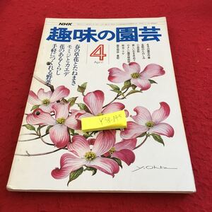 Y38-145 NHK 趣味の園芸 ４月 春の草花とたねまき モミジとカエデ 花のあるくらし 手軽につくれる野菜 園芸作業 など 昭和51年発行 