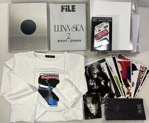 LUNA SEA　 FILE2写真集/ツアートラックセット/クリアファイル　+　HIDEO CANNO限定写真集/Tシャツ/ピンナップ集