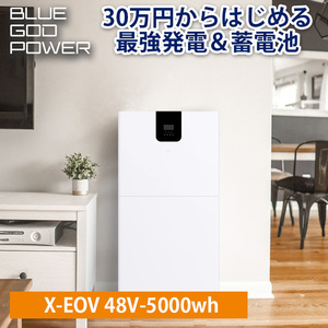 ハイブリッド蓄電池 5000Wh 縦型 AC5000W出力 ハイブリッドインバーター 家庭用 ソーラー発電 蓄電システム サポート無料 SEKIYA