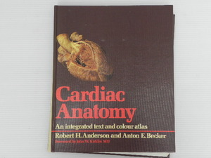 24 洋書 Cardiac Anatomy / 心臓 解剖 外科 医学 医者 病院 アナトミー 人体 標本 医学書