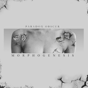 Paradox Obscur Morphogenesis LP (Limited Edition Silver Vinyl) Metropolis Dark Wave / Cold Wave / Synth Wave / Synth Pop