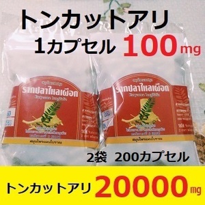 再入荷　★生産日2024年11月　2袋　200カプセル　トンカットアリ　１粒100mg　★1袋10000㎎　マカより多い　粉末　筋トレ　ラントレ