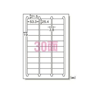 エーワン(A-one) ラベルシール プリンタ兼用 A4 30面 31277(46115)