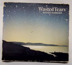 【中古】浜田省吾　Wasted Tears