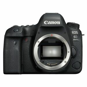 中古 １年保証 美品 Canon EOS 6D Mark II ボディ