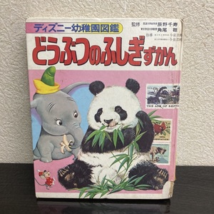 どうぶつのふしぎずかん ディズニー幼稚園図鑑 辰野千寿 角尾稔 講談社 昭和レトロ 絵本 - r165