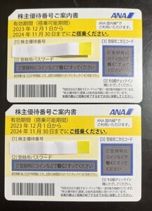 ANA 株主優待券 2枚 2024年11月30日まで有効