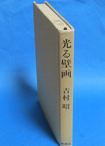 「光る壁画」 【胃カメラ 開発 物語】吉村昭 著　1981年　新潮社　内視鏡　医学　医師　医科大学