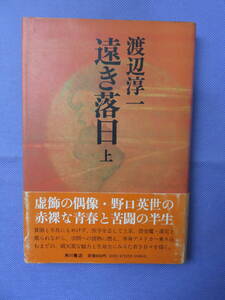 遠き落日　上・下巻　　渡辺淳一著　　角川書店　1979年