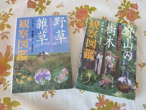 ＵＳＥＤ★野山の樹木観察図鑑・野草雑草観察図鑑２冊セット／成美堂出版・岩瀬徹／自然観察・植物・分類