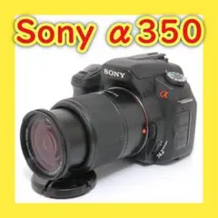 ボディ内手振れ補正付き⭐️標準レンズセット⭐️SONY α350