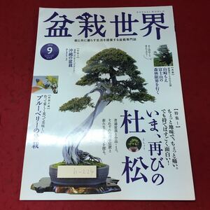 h-224※4 盆栽世界 2015年9月号 2015年9月1日 発行 エスプレス・メディア出版 雑誌 盆栽 趣味 写真 園芸 杜松