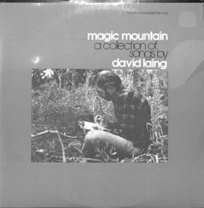 249975 DAVID LAING / Magic Mountain(LP)