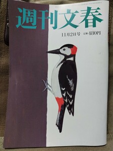 週刊文春 2023年11月2日号 送料￥95～ 伊原六花 宝塚涙の訴え 岸田増税メガネ 文科省政務官買春 小室圭さん暗雲 小６女児誘拐野放し