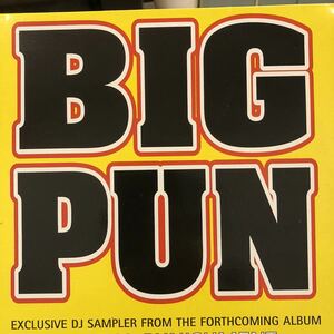 ■ Big Punisher / I’m not a player / Twins ■ プロモ盤！Twins収録！盤質良好