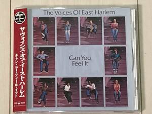 The Voices Of East Harlem ザ・ヴォイシズ・オブ・イースト・ハーレム / Can You Feel It ☆ Free Soul、Leroy Hutson、帯付き、PCD-2908