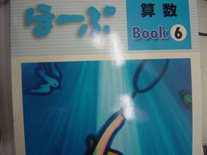 塾教材　小６算数　ホープ　Book　別冊解答付　指導書と２冊セット