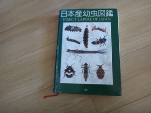 専門書 昆虫図鑑　日本産幼虫図鑑　学研